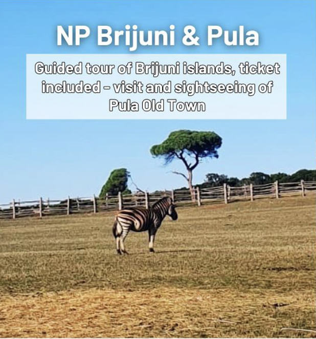 day trip from Krk to Brijuni and Pula